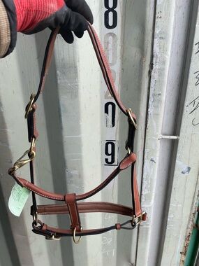 Brown Leather Horse Halter with Brass Hardware